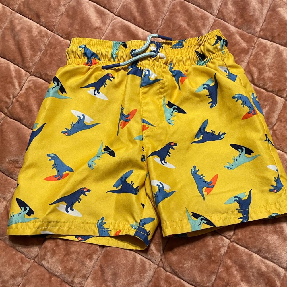 Cat & Jack Toddler Boys Dino Swim Trunks